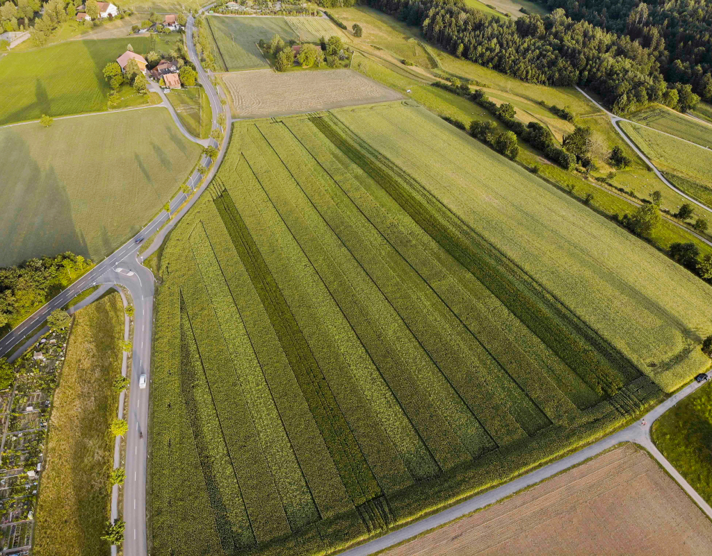 Bild https://stage.zuerioberland.ch/app/uploads/Innovative_Landwirtschaft_Birkenhof_01-1024x800.jpg