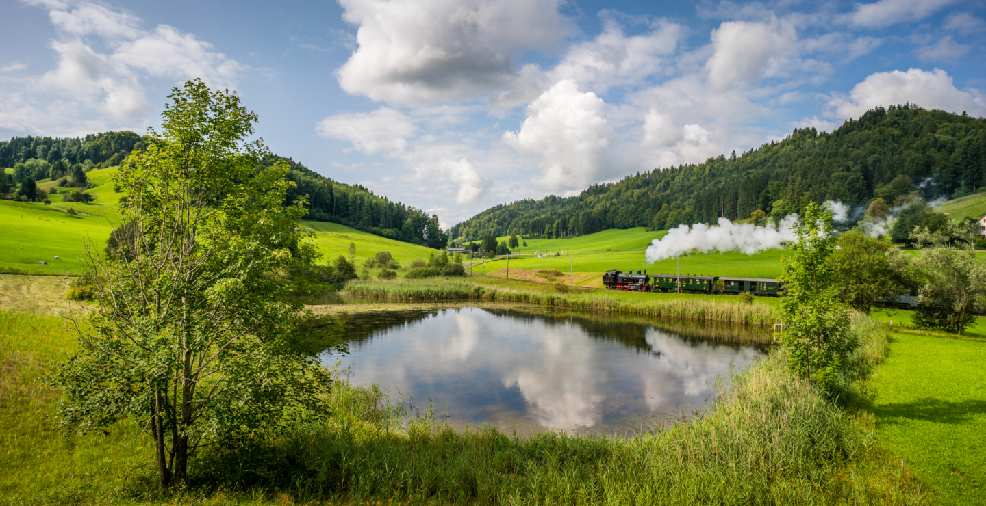 Dampfbahn Zürcher Oberland Neuthal