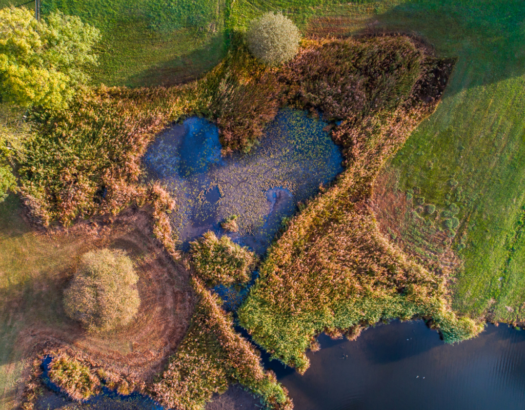 Bild https://stage.zuerioberland.ch/app/uploads/hombrechtikon_lutzelsee27_herz_drohne_1920x1080px_72dpi-1024x800.jpg
